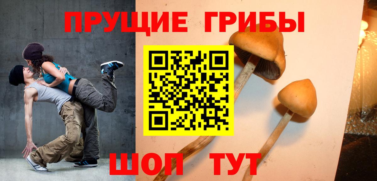 Октябрьский  Псилоцибиновые грибы ЛСД  Вход с VPN  Галлюциногенные грибы мицелий 