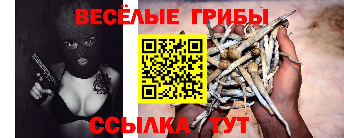 Галлюциногенные грибы прущие грибы Октябрьский